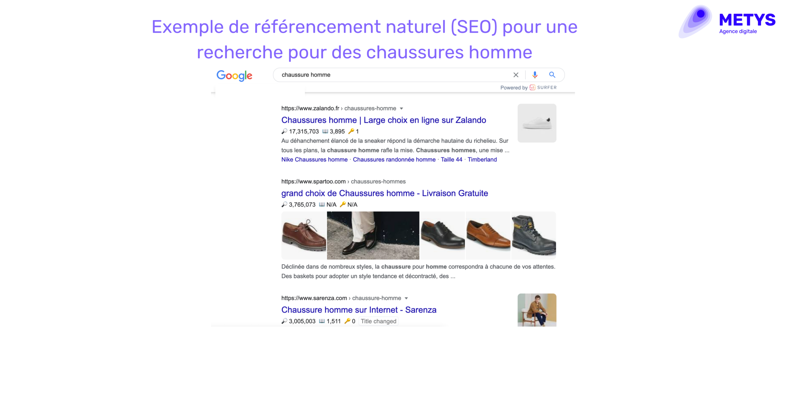 SERP SEO résultats organique